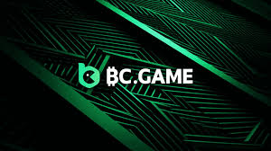 Exploring Payment Methods at BC.Game A Comprehensive Guide