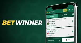 Ultimate Guide to BetWinner Bonuses Maximize Your Betting Experience