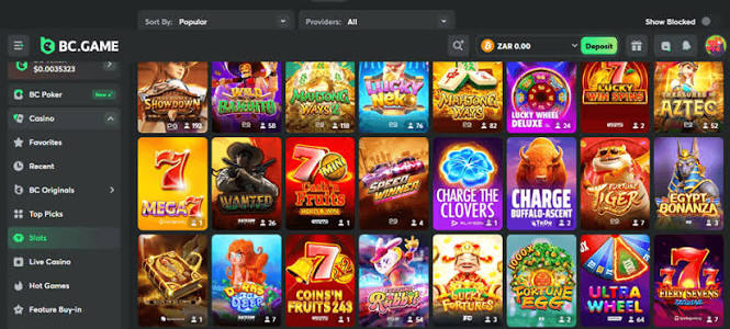 Exploring the Thrills of BC.Game Crypto Casino